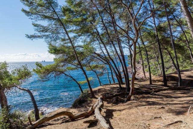Studio Climatise Avec Jardin Et Plage A 250M Сен-Мандри-сюр-Мер Екстериор снимка